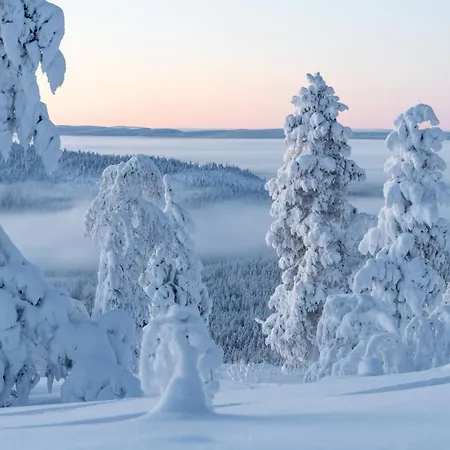 North Solace By In Lapland Tatil Evi Levi