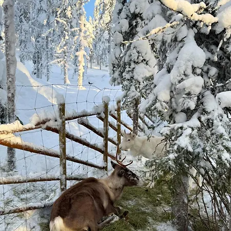North Solace By In Lapland Tatil Evi